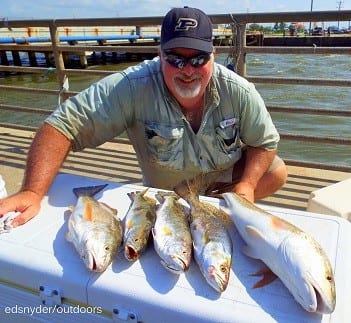 Conroe angler John Nelson worked soft plastics and finger mullet to lay out this fine catch of reds and trout