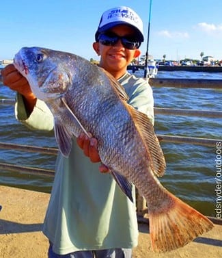 Cypress TX angler Chistian Van De Brook fished a Miss Nancy shrimp to nab this nice keeper eater drum