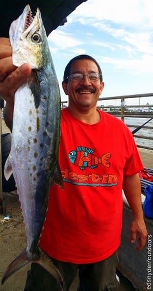 Ernest Carrasco of Pasadena TX nabbed this toothy Smack while fishing shrimp