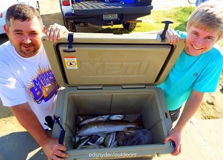 Father and son fishing team Wes and Tyler Smith of Pearland TX caught this nice box of reds and croaker while fishing shrimp