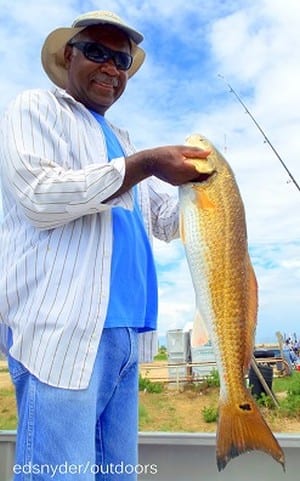Houston angler Roger Thomas took caught and tagged this nice 29inch bull red he took on live shrimp