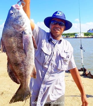 Irvin Marcellus of Houston caught this nice keeper eater drum while fishing shrimp