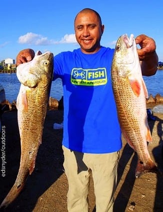 Jose Cazares of Houston fished with cut skip-jack to nab these nice slot reds