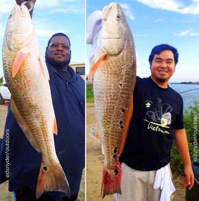 (L) Mo-City angler Larry Webster fished shrimp for this nice 26inch slot red; (R) Michael tran of Houston took this nice 25inch slot red while fishing live shrimp