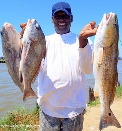 Richard Nick of Houston put these drum and red in the box fishing Miss Nancy shrimp