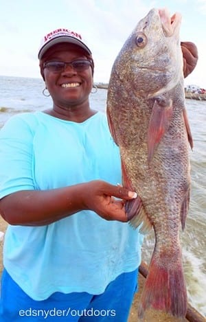 Sharon Fleming of Katy TX took this nice drum fishing with shrimp