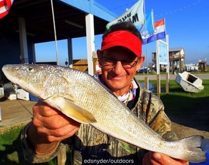 This HUGE Gulf Whiting was caught by Michael Mathis of Houston while fishing berkely gulp