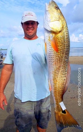 Willis TX angler Dan Becker wade-fished Rollover Bay with a Miss Nancy finger mullet to catch and tag this 32inch bull red