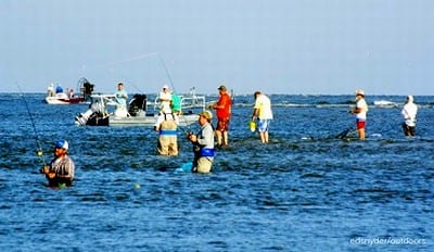 Bay waders casting the early outgoing for trout, redfish, and flounder
