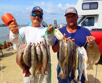 Beaumont's Brother anglers Jim and George Bryan with a Rollover mornings catch of trout and Flounder they took on soft plastics