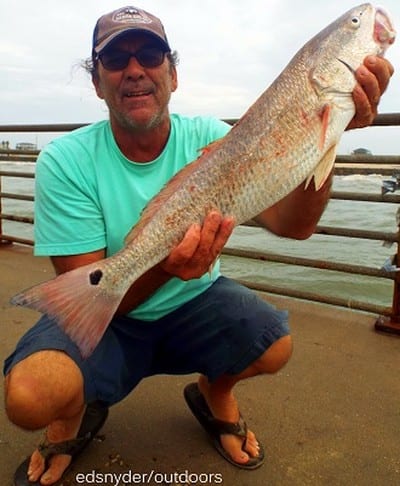Dennis Gibson of Spring TX took this nice 4inch slot red on a Miss Nancy shrimp
