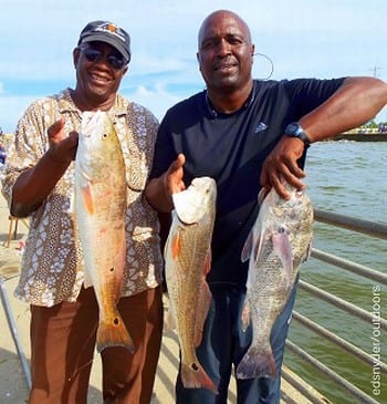 Fishin buds Ken Lavan and Curtis Elder fished Miss Nancy shrimp to catch these nice reds and drum