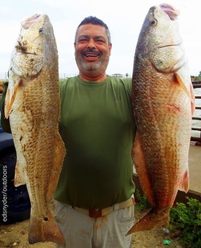 Kyle TX angler Frank Viruet nabbed these two nice slot reds while fishing with shrimp