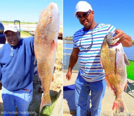 (L) Charles Dewalt of Houston nabbed this 29inch tagger bull red while fishing live shrimp; (R) Crosby TX angler Lawrence Lovings took this 29inch bull drum on a Miss Nancy shrimp