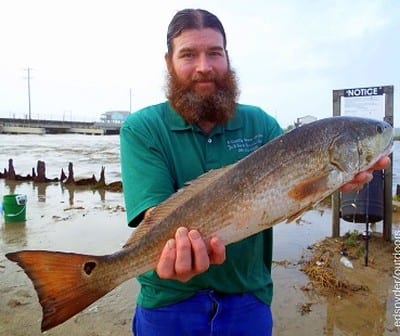 Porter TX angler Jeff Davis took this nice 24inch slot red on a live sand perch