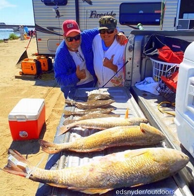 Terry and Cindy Halcom of Texas City TX caught these nice reds, drum, and flounder on Miss Nancy finger mullet
