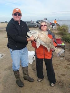 Belton TX anglerette Judy Siler caught and released this huge bull drum after taking it on shrimp