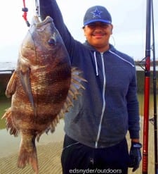 Bryant Lopez of Irving TX took this really nice sheepshead on shrimp