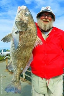 Caldwell TX angler Johnie Crocker caught and released this 32inch bull drum he took on shrimp