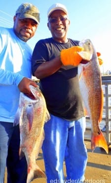 Drum and Red catcthes come easy with uncle and nephew anglers Bert and Ken