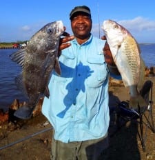 Ernie Faulty of Houston hefts this nice drum and croaker caught on shrimp