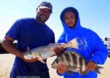 Father and son- Kenneth Tucker SR and Kennith JR teamed up to catch this redfish and sheepshead while fishing shrimp