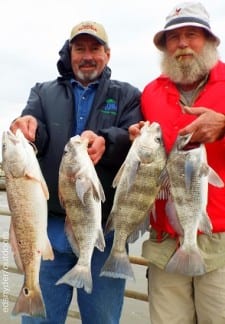 Fishin buds Johnie Crocker and Dan Fontenot of Beaumont TX show off their catch of redfish and dum they took on live shrimp