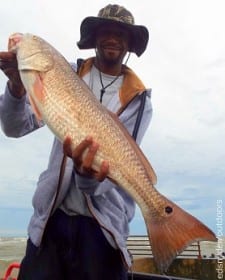 Fred Williams of Houston fished cut mullet to nab this nice 28inch slot red