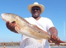 Houston angler Craig Thomas fished crab to catch this 32inch tagger bull red