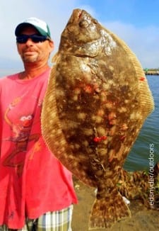 Houston angler John Brown took this nice flounder on a Miss Nancy shrimp