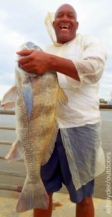 Houston angler Keith Robertson caught and released this HUGE 32inch bull drum he took on shrimp