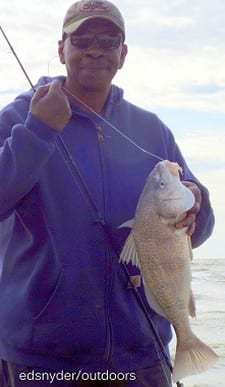 Houston angler Nadie Green landed this nice keeper eater drum while fishing live shrimp