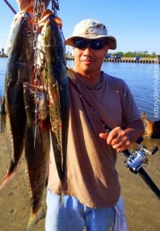 Houston angler Phillip Joe took these nice specks on berkely gulp while working for his limit of ten