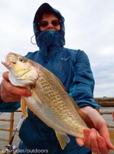 Karnack TX anglerette Kathy Heard caught this 16inch Mega-Croaker while fishing a Miss Nancy shrimp
