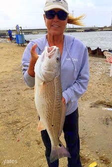 Lady Yates strikes again with this nice slot red caught on berkely gulp
