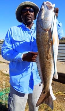 Mo City angler Henry Washington caught this 29.5inch tagger bull red while fishing with live shrimp
