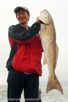 Surf-angler Bao Tran of Katy TX caught and tagged this HUGE 38inch bull red while fishing cut mullet