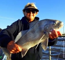 Terrie Brovovich of Denver CO took this nice drum while fishing shrimp