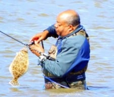 Wade-angler action-- OOPS!! I caught a flounder- DANG!! Now i'll have to clean it