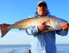 Austin TX angler Saul Morales landed this HUGE 40inch tagger bull red while fishing cut mullet