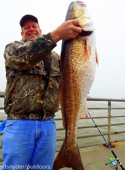 Dan Colby of Conroe TX caught and tagged this really nice 39 inch bull red he took on shrimp