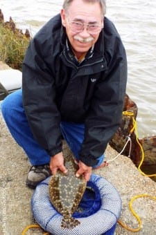 Frank Logan of Houston took this nice flounder while fishing gulp