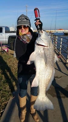 Houston anglerette Lucia Galvan caught and released this HUGE 32inch bull drum she took on shrimp
