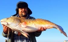 Martin Sanchez of Austin TX caught this HUGE 40inch tagger bull red on cut mullet
