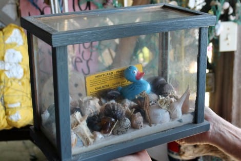 Margaret's terrarium of "first finds", a prominent display of how it all began and how it continues to expand.